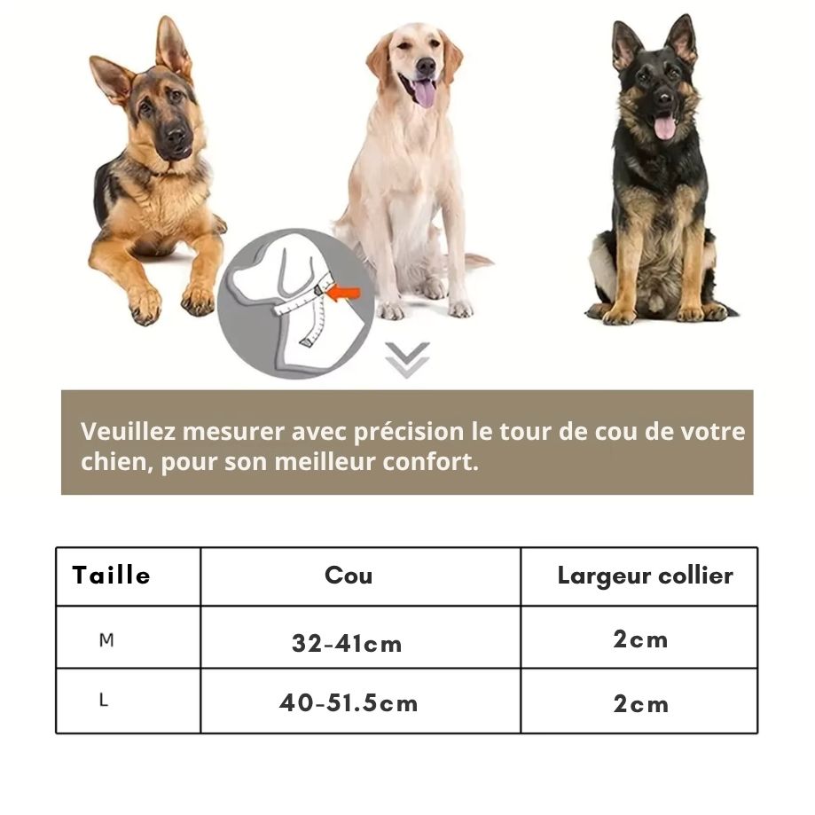 Collier de Chien Étanche en PVC Premium – Réglable, Résistant & Ultra Confortable | Idéal Dressage, Promenade & Sport Canin | Anti-Odeur & Séchage Rapide (Nouveau 2025)