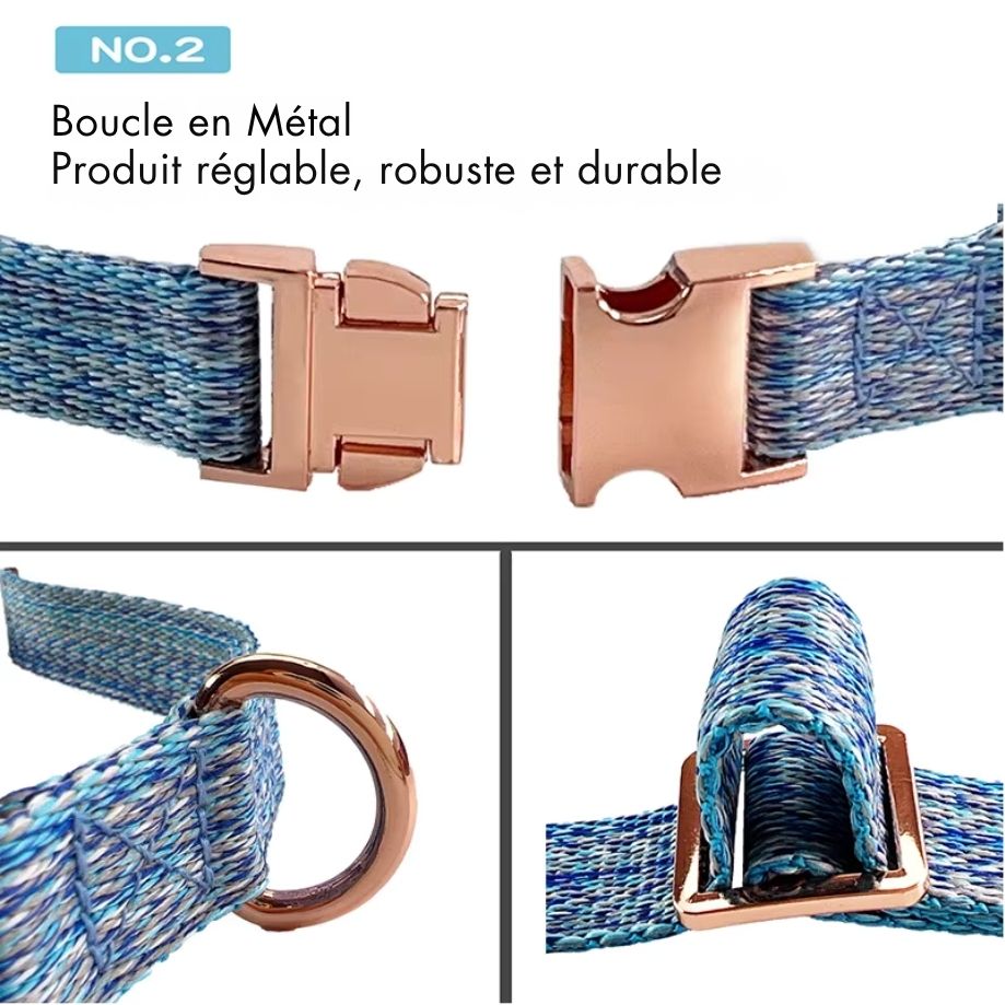 Collier & Laisse pour Chien et Chat en Lin Tressé – Boucle Métal Premium, Taille Ajustable, Ensemble Résistant et Confortable pour Promenade & Entraînement (XS à L)