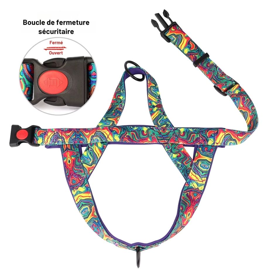 Harnais Anti-Traction Coloré pour Chien – Sécurisé, Réglable & Confortable avec Double Attache
