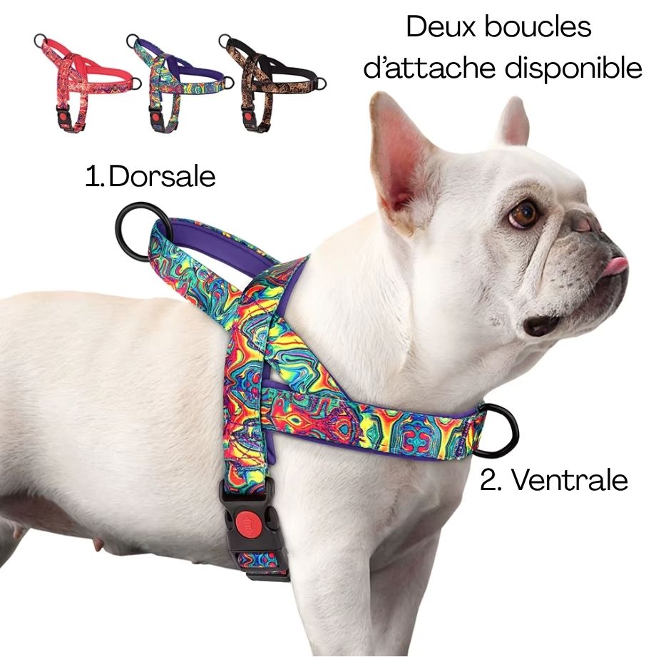 Harnais Anti-Traction Coloré pour Chien – Sécurisé, Réglable & Confortable avec Double Attache