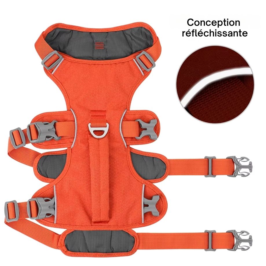 Harnais Anti-Traction Réglable pour Chien – Confort Max, Poignée de Contrôle, Attaches Avant & Dos, Coutures Réfléchissantes