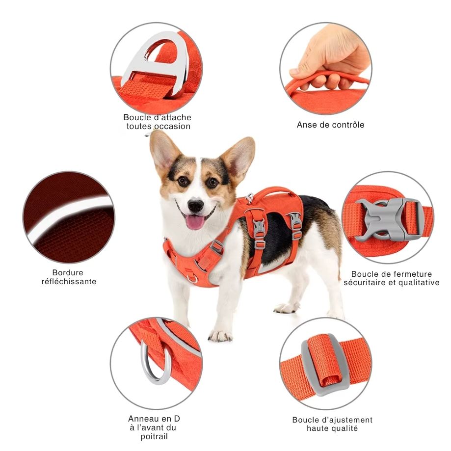 Harnais Anti-Traction Réglable pour Chien – Confort Max, Poignée de Contrôle, Attaches Avant & Dos, Coutures Réfléchissantes