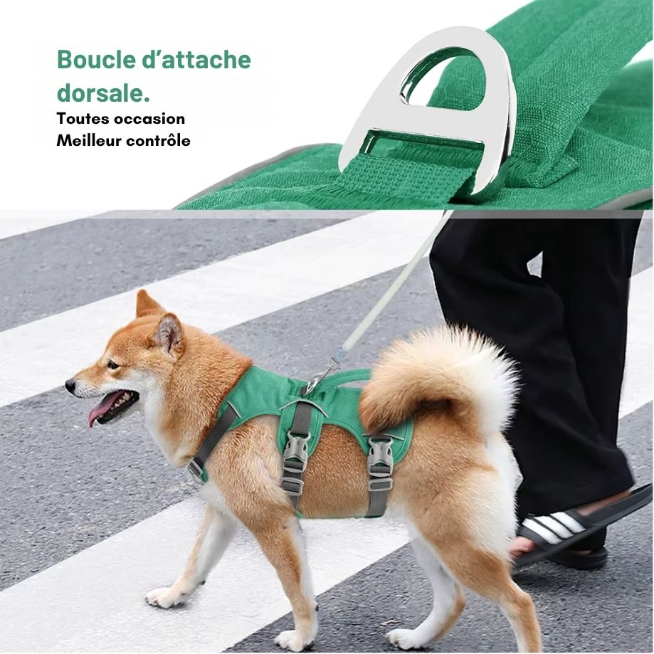 Harnais Anti-Traction Réglable pour Chien – Confort Max, Poignée de Contrôle, Attaches Avant & Dos, Coutures Réfléchissantes