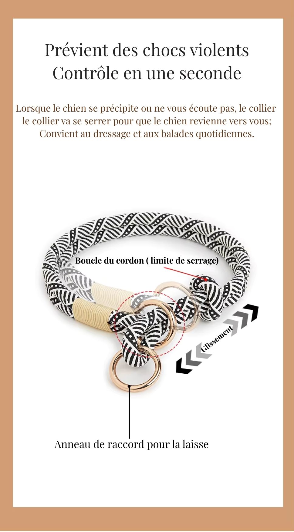 Collier Premium pour Chien en Nylon Renforcé – Confort, Résistance et Élégance pour Petits, Moyens et Grands Chiens