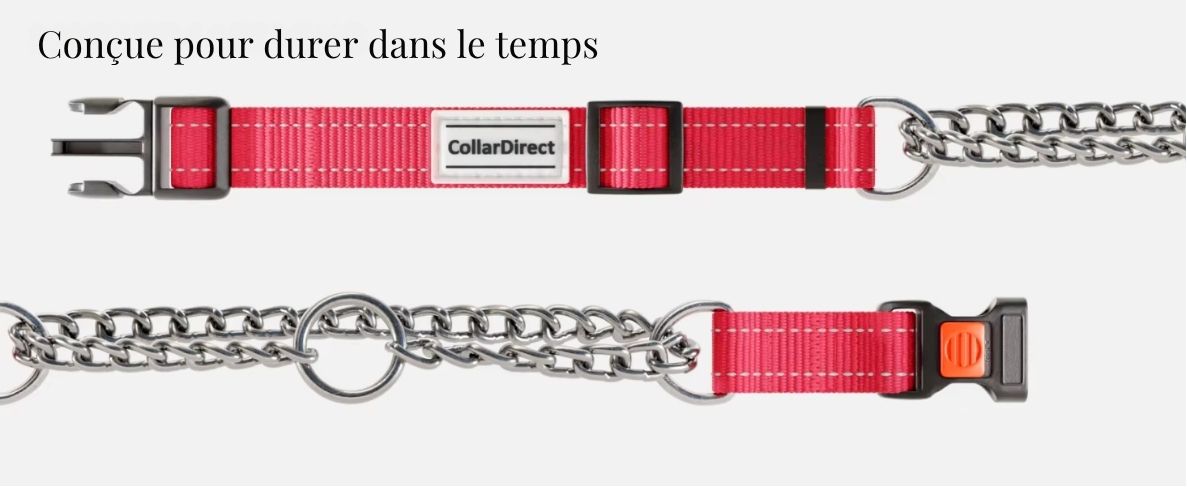 Collier Martingale Antidérapant Réglable pour Chiens – Nylon Réfléchissant et Chaîne Inox | Anti-Traction & Sécurité Totale