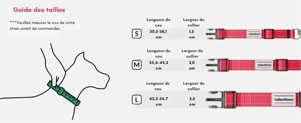 Collier Martingale Antidérapant Réglable pour Chiens – Nylon Réfléchissant et Chaîne Inox | Anti-Traction & Sécurité Totale