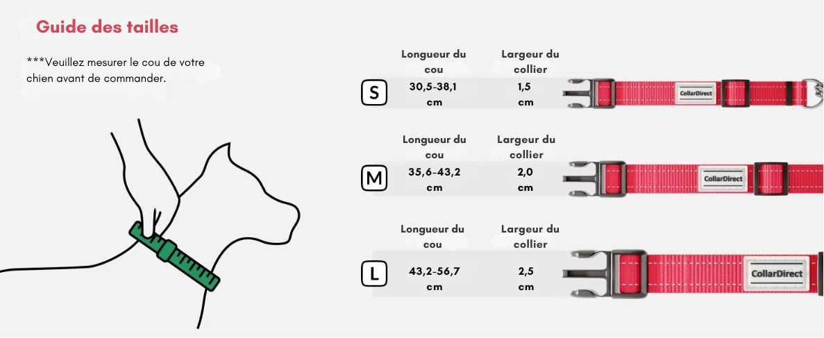 Collier Martingale Antidérapant Réglable pour Chiens – Nylon Réfléchissant et Chaîne Inox | Anti-Traction & Sécurité Totale