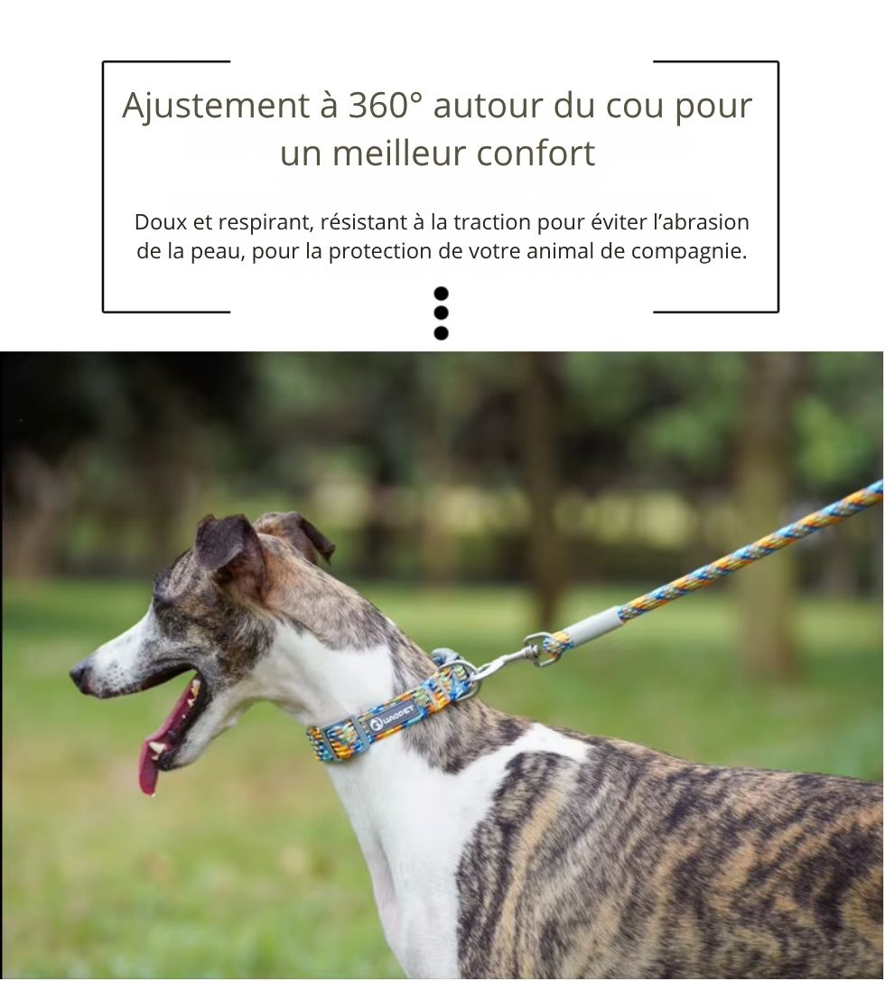 Collier Réfléchissant pour Chiens et Chats – Sécurité Nocturne, Confort Ajustable & Design Coloré Anti-Perte