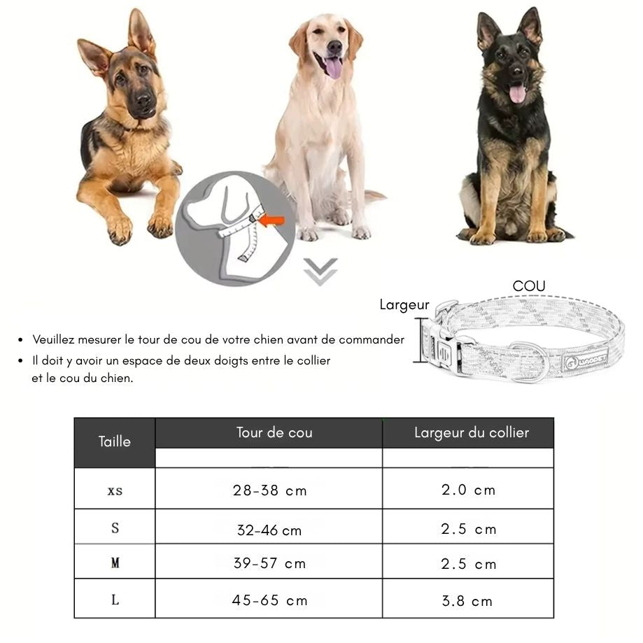 Collier Réfléchissant pour Chiens et Chats – Sécurité Nocturne, Confort Ajustable & Design Coloré Anti-Perte