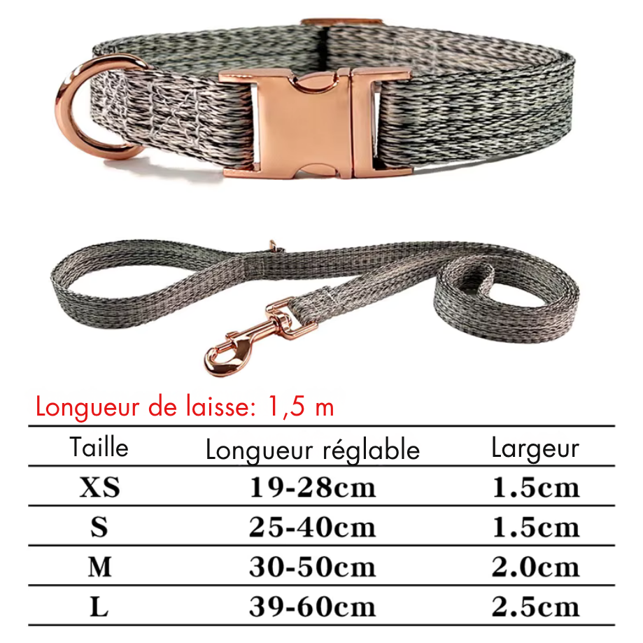 Collier & Laisse pour Chien et Chat en Lin Tressé – Boucle Métal Premium, Taille Ajustable, Ensemble Résistant et Confortable pour Promenade & Entraînement (XS à L)