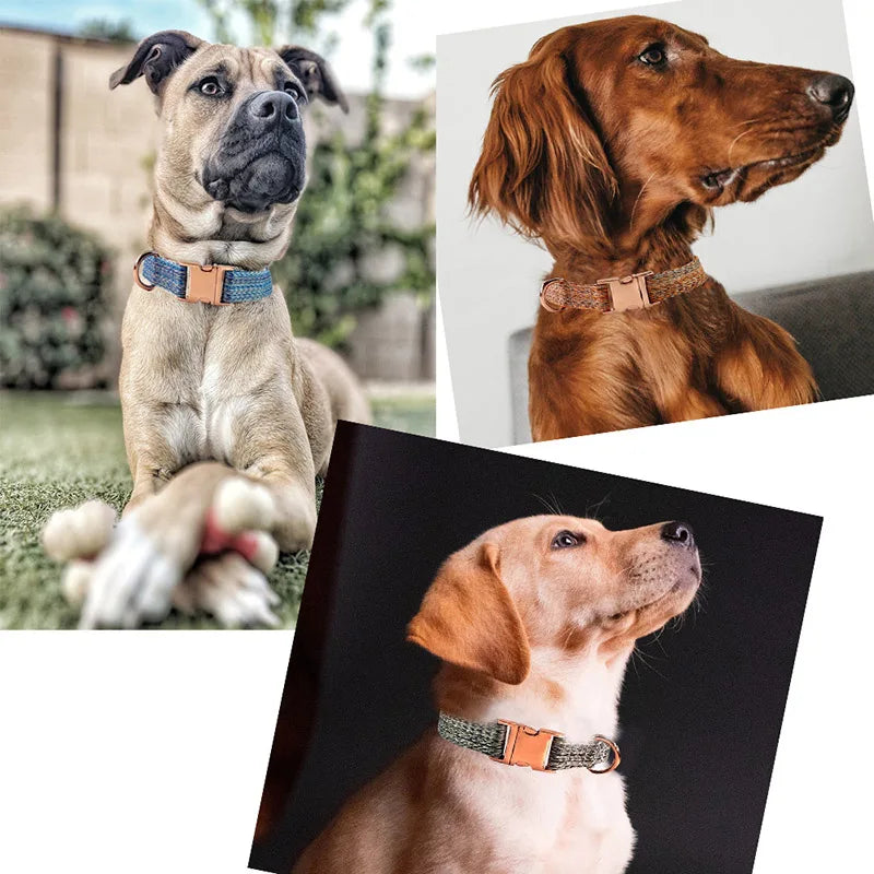 Collier & Laisse pour Chien et Chat en Lin Tressé – Boucle Métal Premium, Taille Ajustable, Ensemble Résistant et Confortable pour Promenade & Entraînement (XS à L)