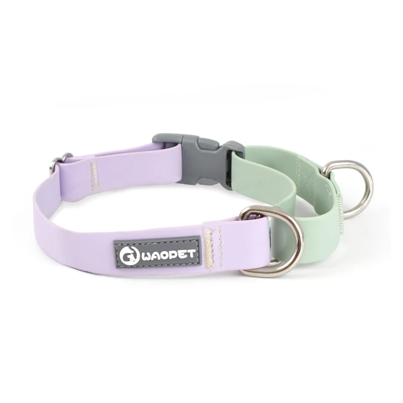 Collier de Chien Étanche en PVC Premium – Réglable, Résistant & Ultra Confortable | Idéal Dressage, Promenade & Sport Canin | Anti-Odeur & Séchage Rapide (Nouveau 2025)