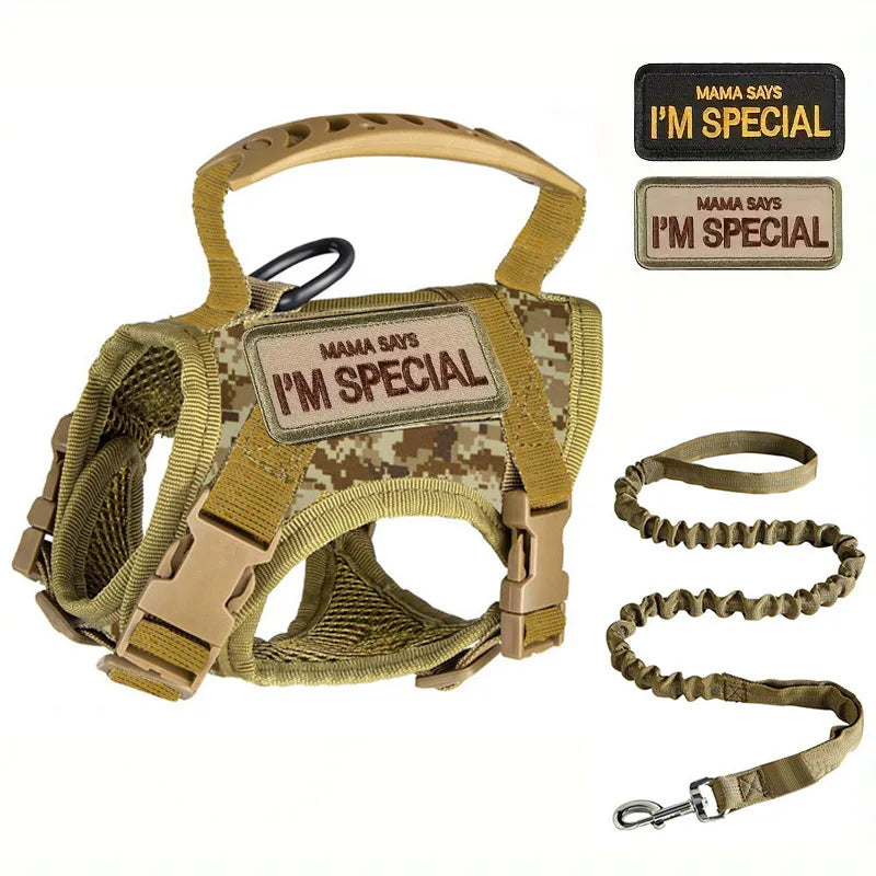 Harnais tactique pour chat et petit chien – Sécurité, confort et style militaire disponible en plusieurs couleurs