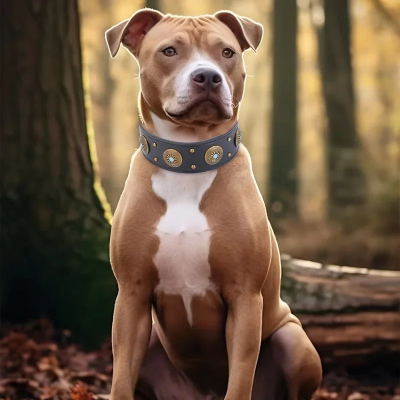 Collier pour Chien en Cuir Robuste – Luxe Vintage, Fait à la Main, Boucle Métal Réglable, Confort & Durabilité – Idéal Grands Chiens