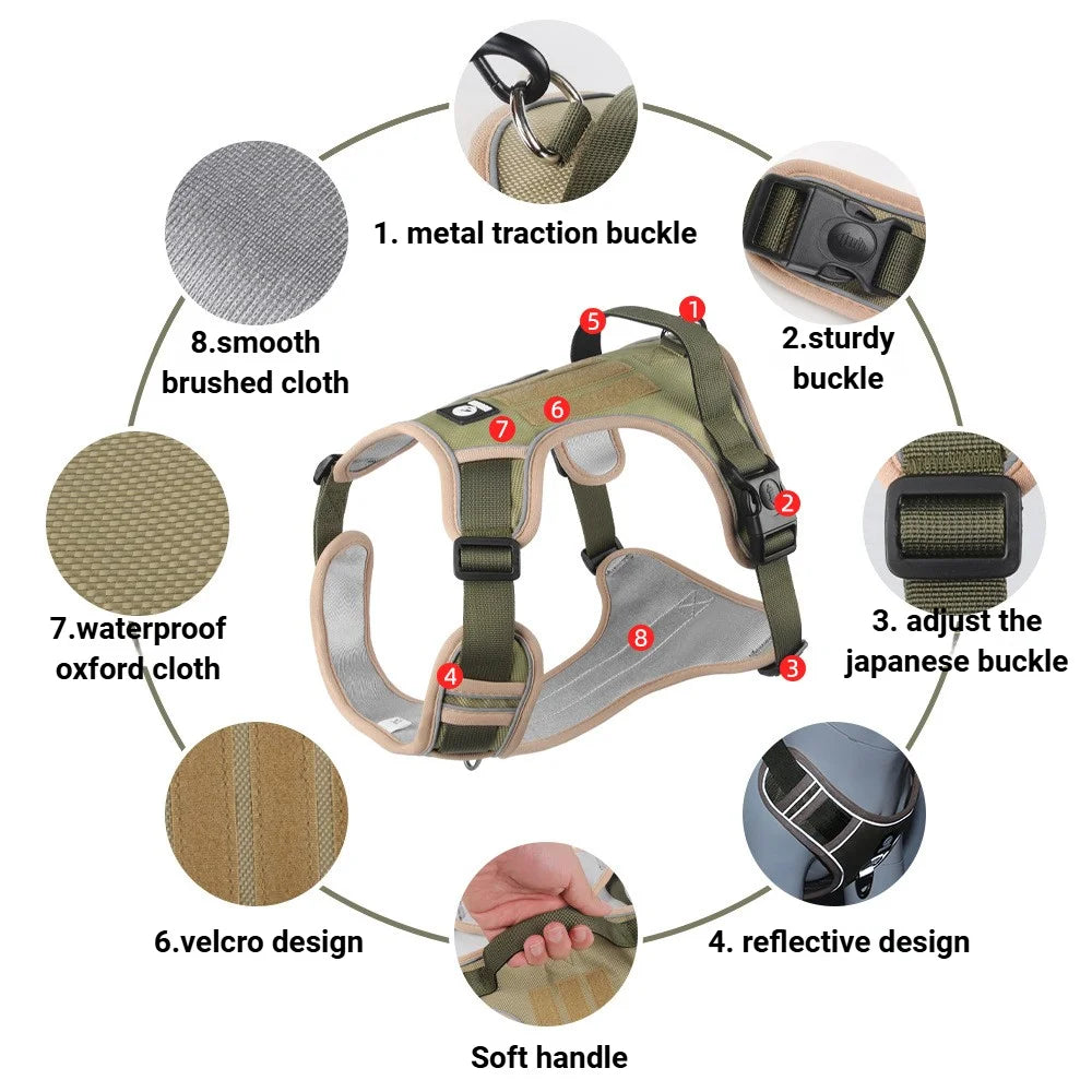 Harnais réfléchissant réglable pour chien – Avec laisse incluse | Confort & sécurité pour chiots et chiens de petite, moyenne et grande taille