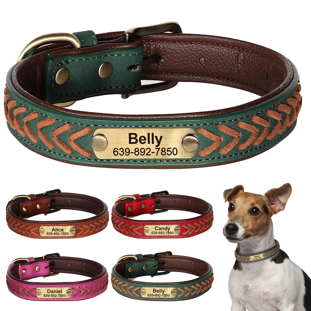 Collier pour chien personnalisé en cuir véritable – Gravure du nom & numéro – Collier d’identification confortable pour petits, moyens et grands chiens (Chihuahua, Labrador, etc.)