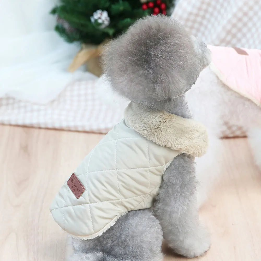 Veste d’Hiver Ultra-Chaude pour Petit Chien – Col Fourrure & Coton Matelassé