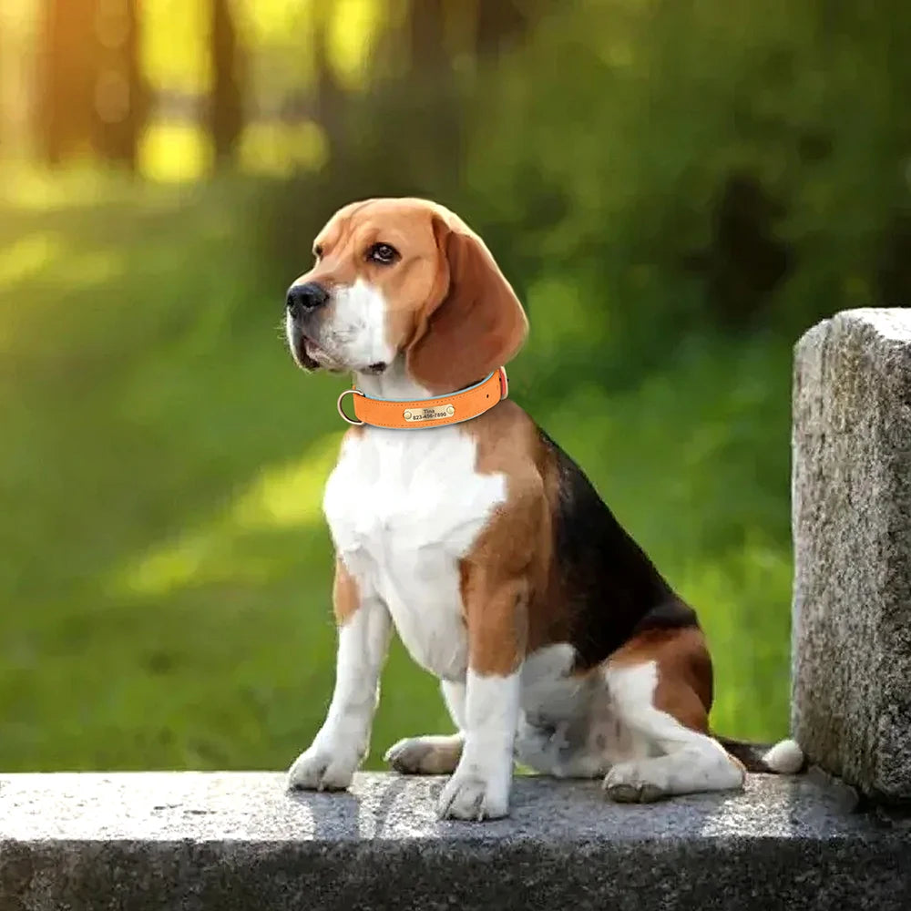 Collier Personnalisé pour Chien en Cuir PU – Gravure Gratuite du Nom & Numéro | Réglable, Confortable et Élégant pour Petits, Moyens et Grands Chiens