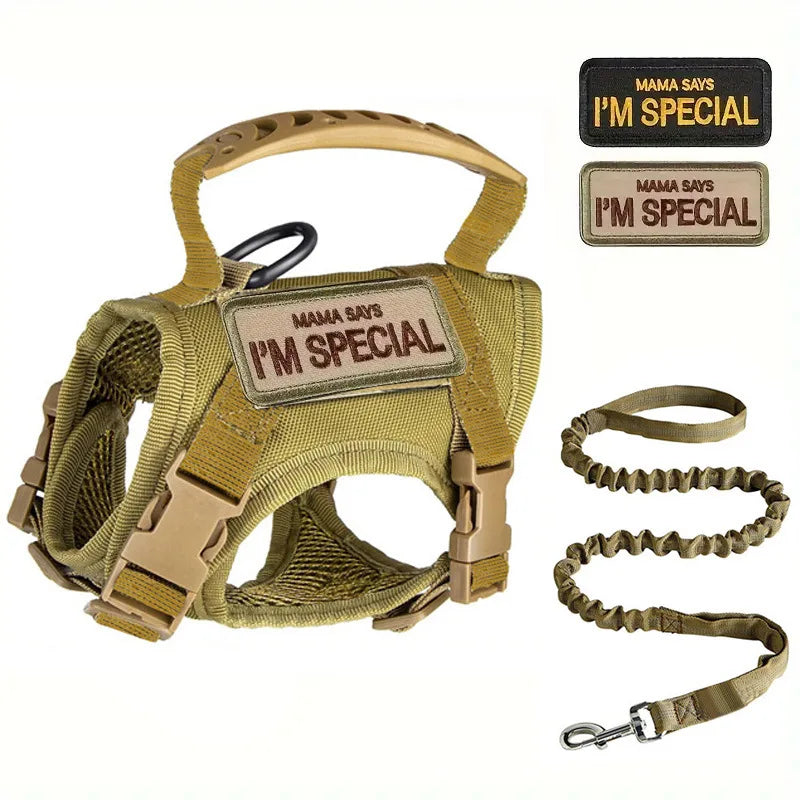 Harnais tactique pour chat et petit chien – Sécurité, confort et style militaire disponible en plusieurs couleurs