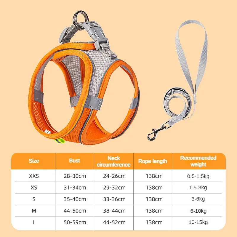 Harnais et Laisse Réglables pour Petits Chiens et Chats – Ultra Confort, Sécurité Antitraction, Tissu Respirant & Bandes Réfléchissantes – Chihuahua, Bouledogue Français, Chiot