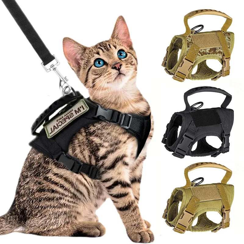 Harnais tactique pour chat et petit chien – Sécurité, confort et style militaire disponible en plusieurs couleurs