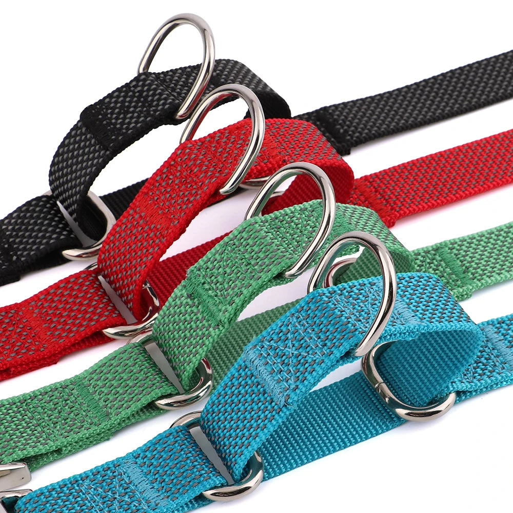 Collier Réfléchissant pour Chien – Nylon Renforcé, Réglable, Sécurisant pour Balades Nocturnes