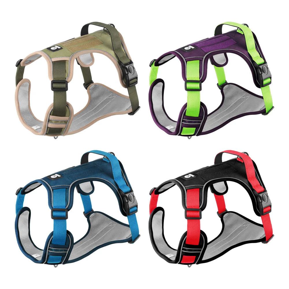 Harnais réfléchissant réglable pour chien – Avec laisse incluse | Confort & sécurité pour chiots et chiens de petite, moyenne et grande taille