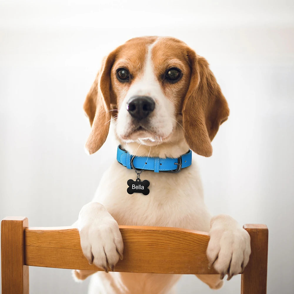 Collier pour Grand Chien Rembourré Confort – Cuir PU Souple & Réglable (Beagle, Pitbull, Bouledogue, Bergers & Gros Chiens)