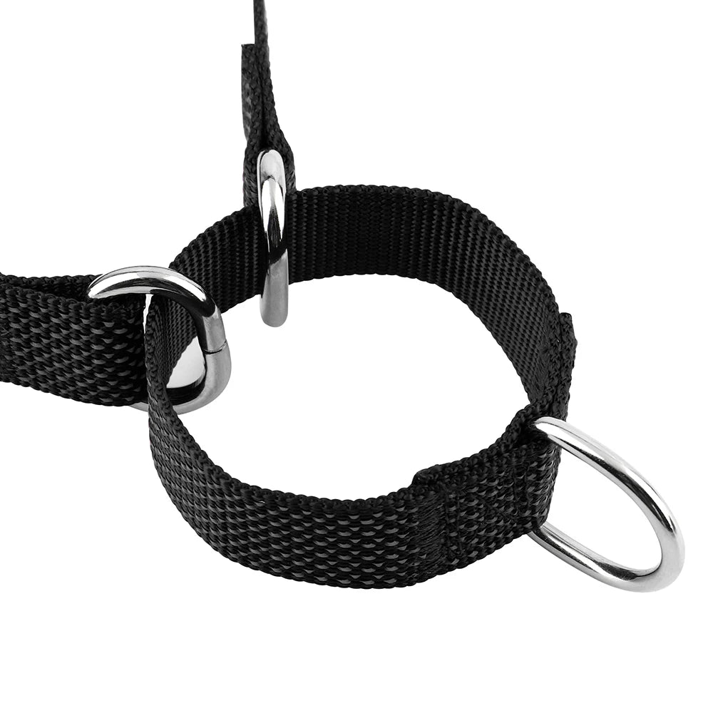 Collier Réfléchissant pour Chien – Nylon Renforcé, Réglable, Sécurisant pour Balades Nocturnes