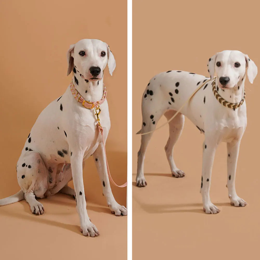 Collier pour Chien Fait Main – Réglable, Confortable et Luxueux | Patounes & Cie