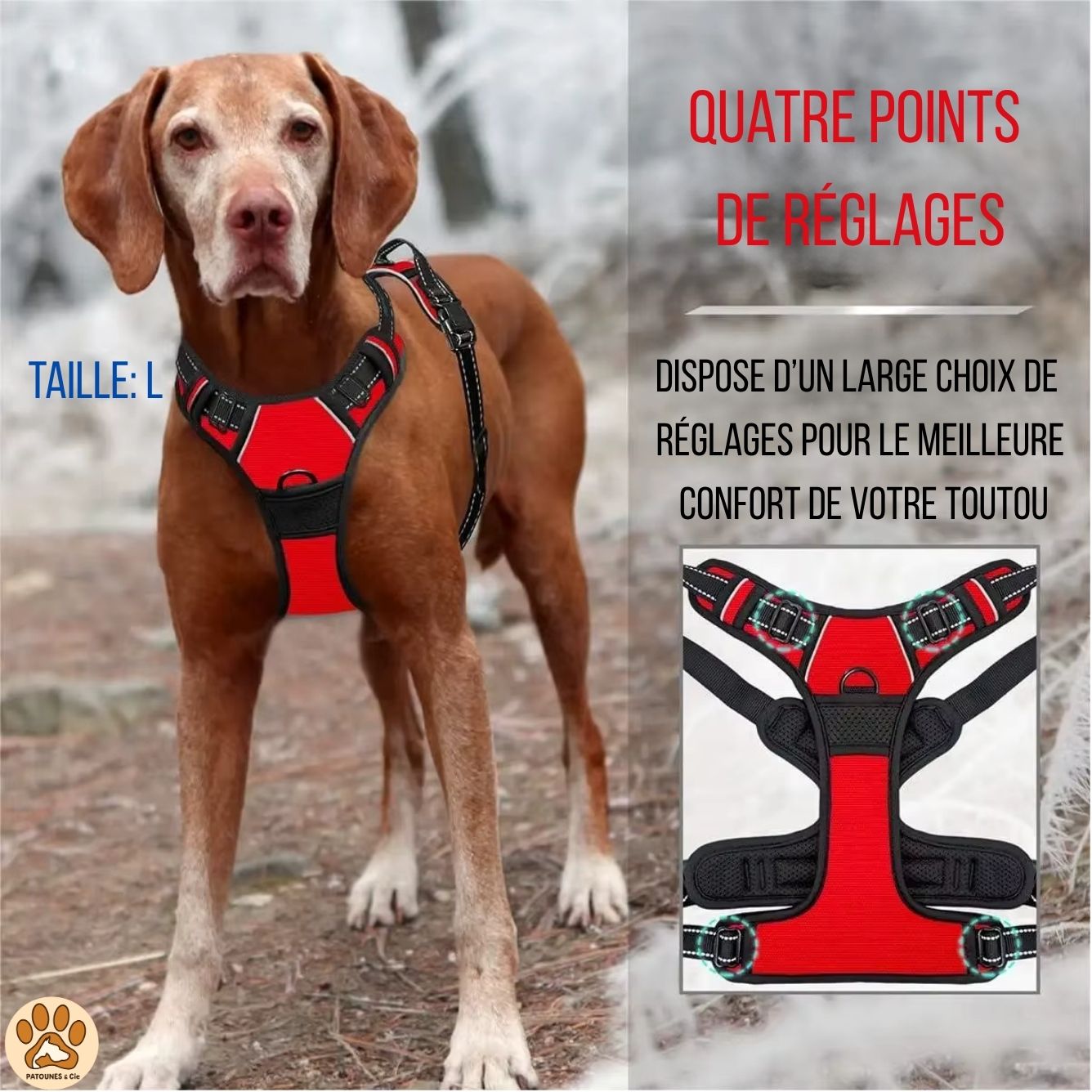 Harnais pour Chien Anti-Traction Réglable avec Laisse – Gilet Confortable et Sécurisé pour Petit, Moyen et Grand Chien