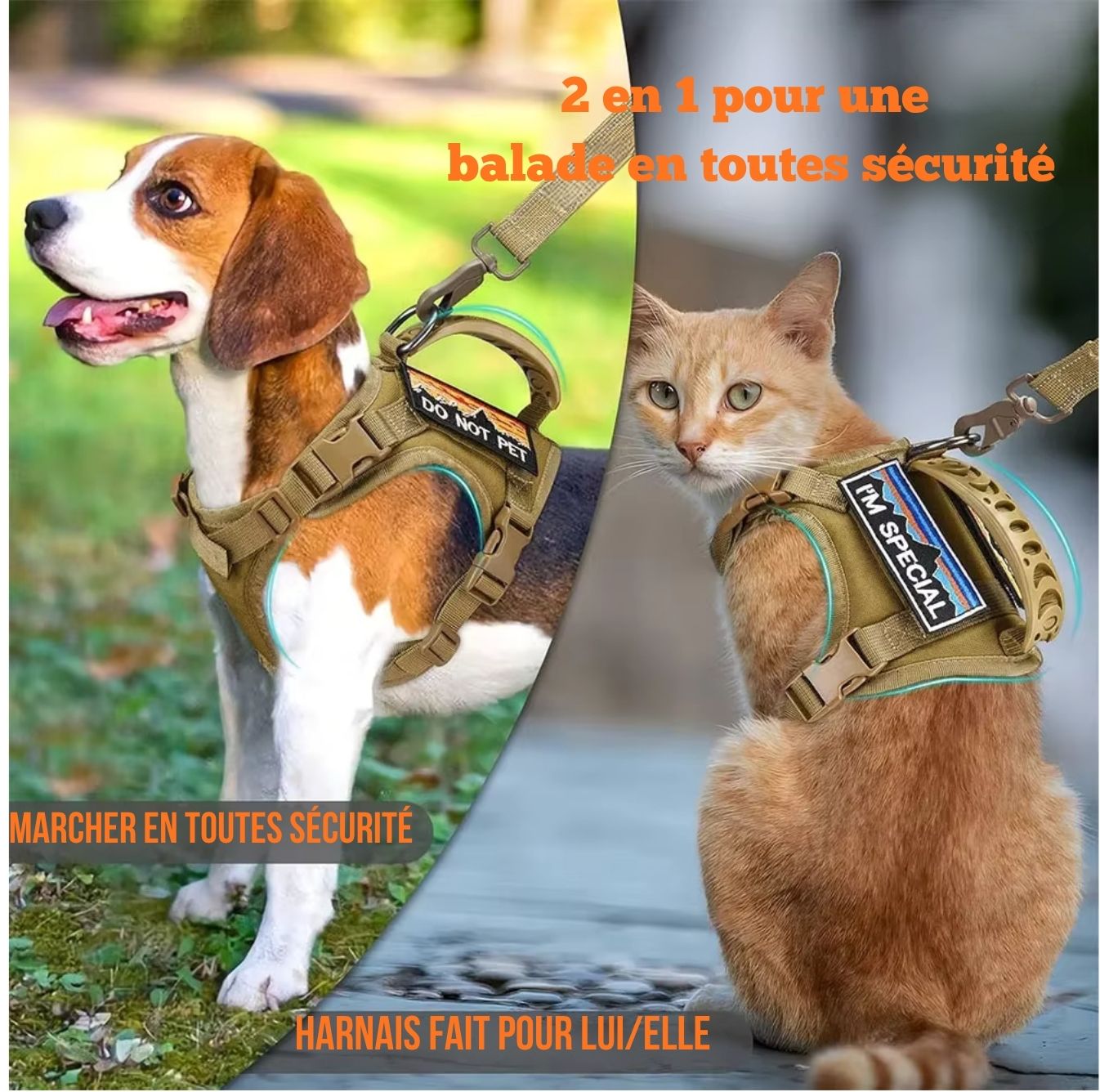 Harnais tactique pour chat et petit chien – Sécurité, confort et style militaire disponible en plusieurs couleurs