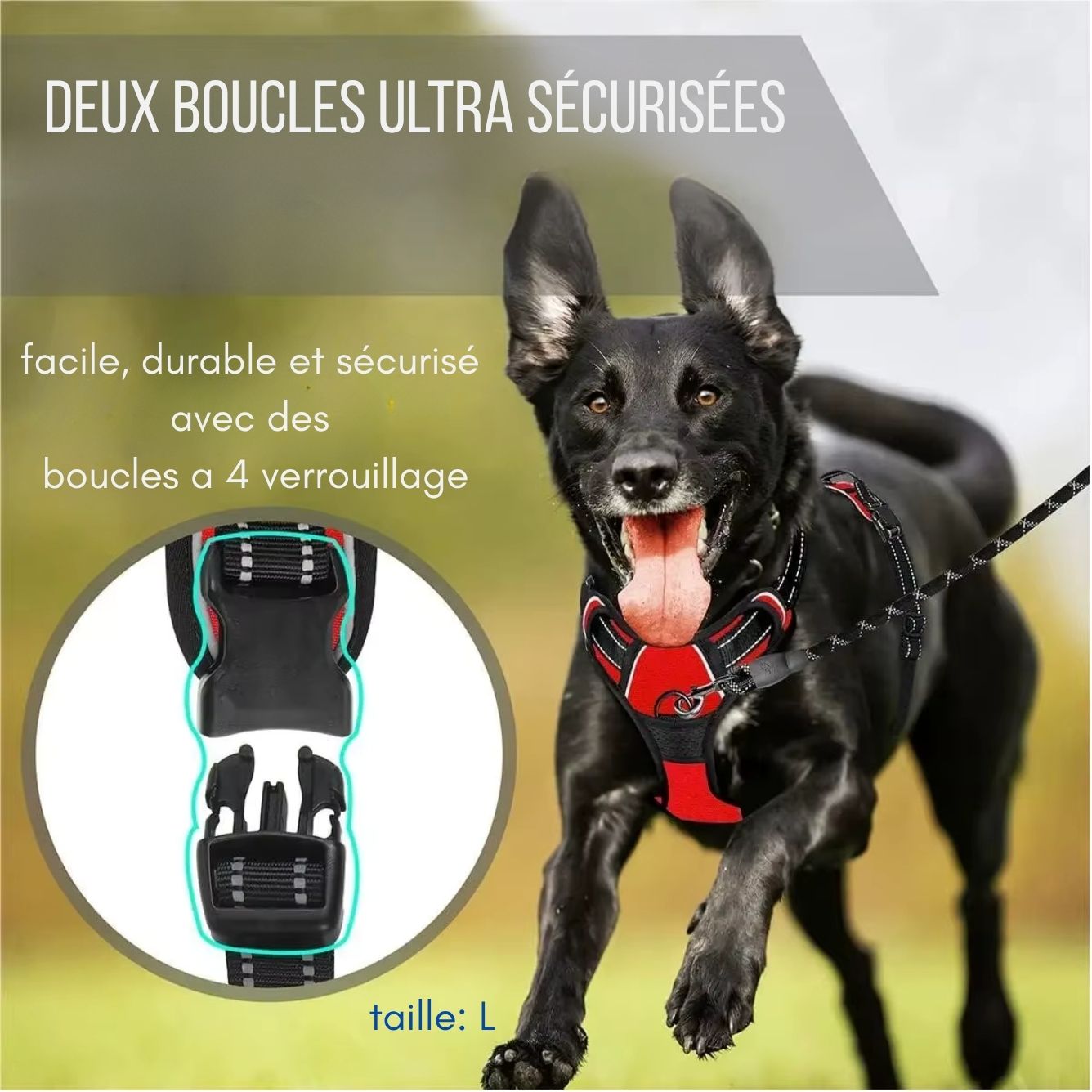 Harnais pour Chien Anti-Traction Réglable avec Laisse – Gilet Confortable et Sécurisé pour Petit, Moyen et Grand Chien
