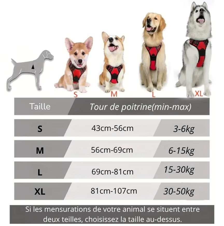 Harnais pour Chien Anti-Traction Réglable avec Laisse – Gilet Confortable et Sécurisé pour Petit, Moyen et Grand Chien
