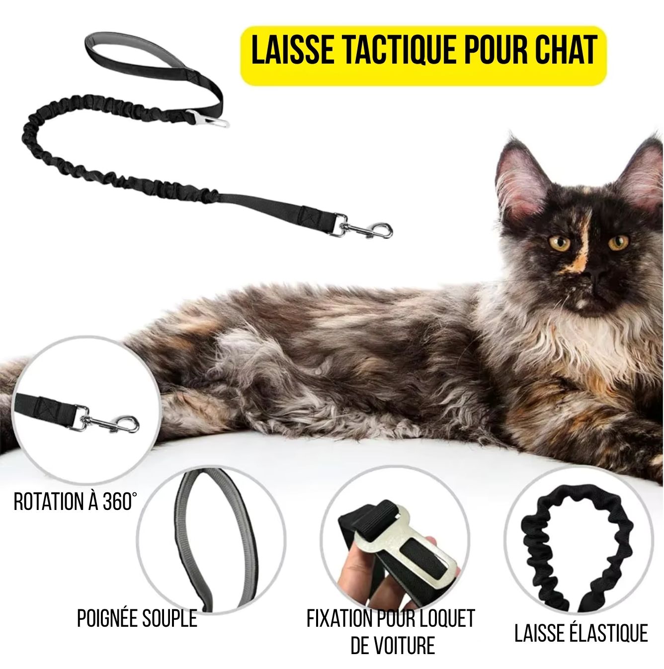 Harnais tactique pour chat et petit chien – Sécurité, confort et style militaire disponible en plusieurs couleurs